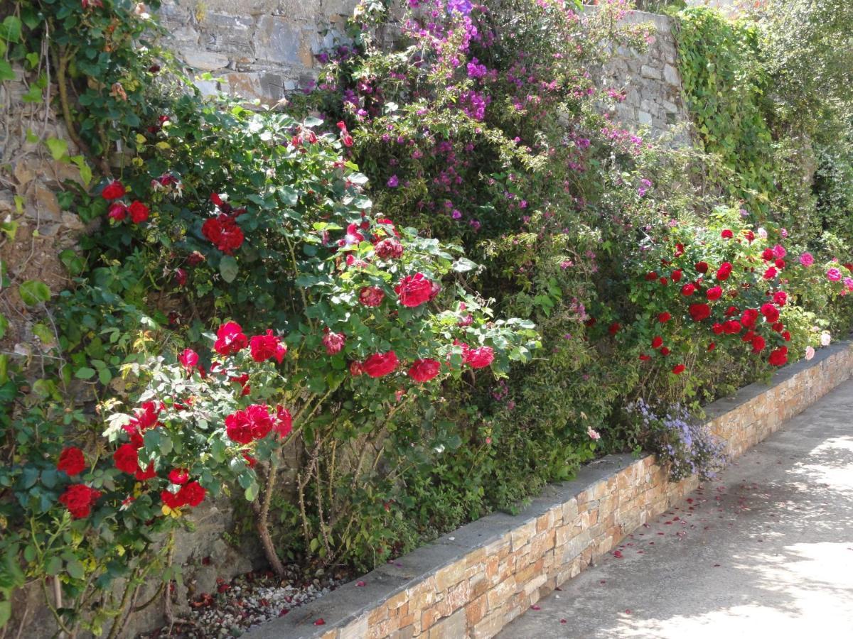 Charmantes Chambres 792 Route Inferieure De Cardo Bastia  Exterior photo